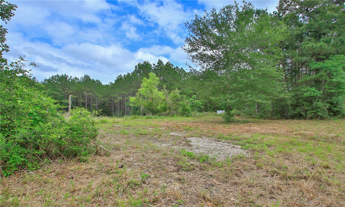 5914 Carter Road Waller, TX 77484 - Photo 32 of 41