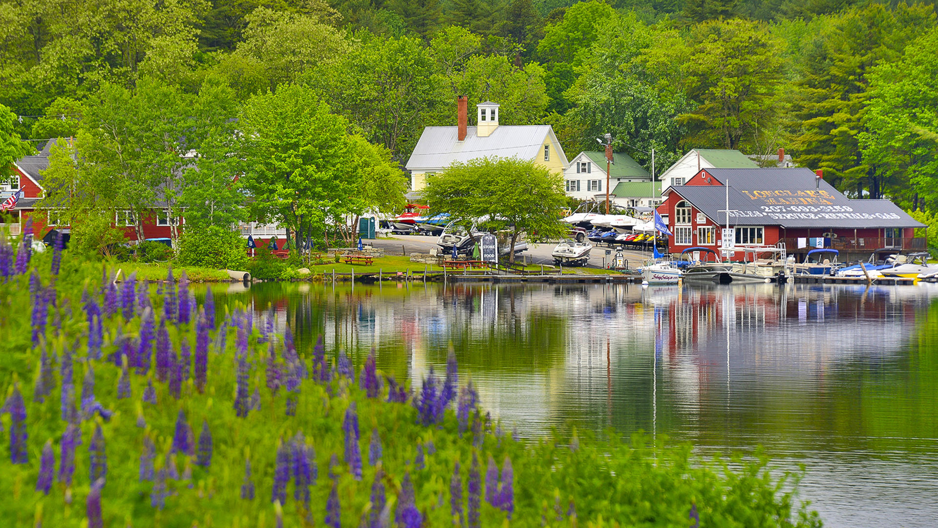 135 Jackson Cove Road Naples, ME 04055 - Photo 52 of 53 causeway-flowers-cropped (002)