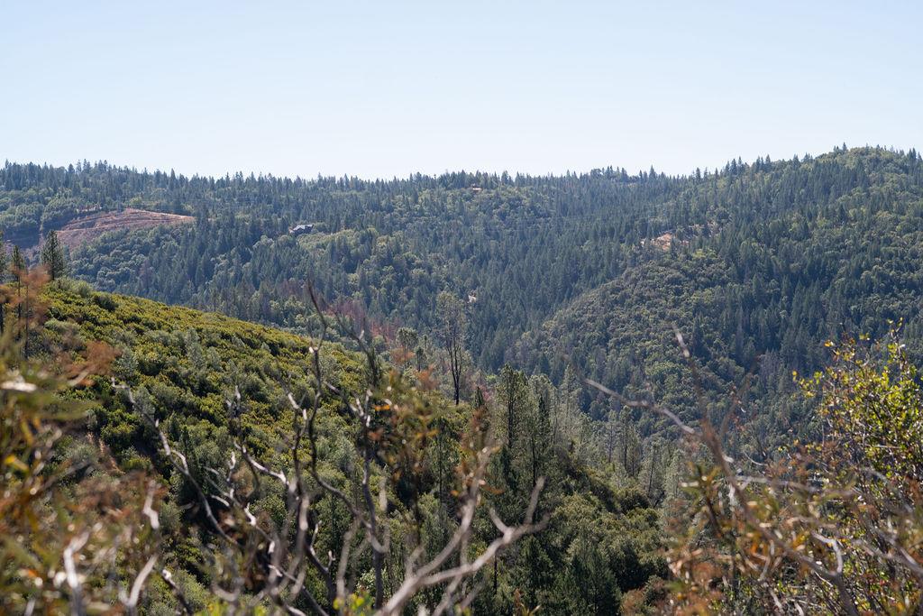 0 Mule Skinner Road Placerville, CA 95667 - Photo 6 of 28 Gallery Image 6