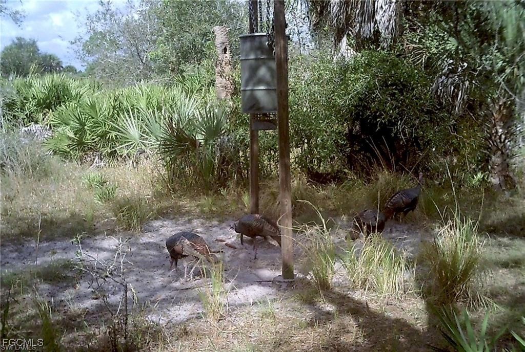 49673 Bermont Road Punta Gorda, FL 33982 - Photo 22 of 28 Gallery Image 22