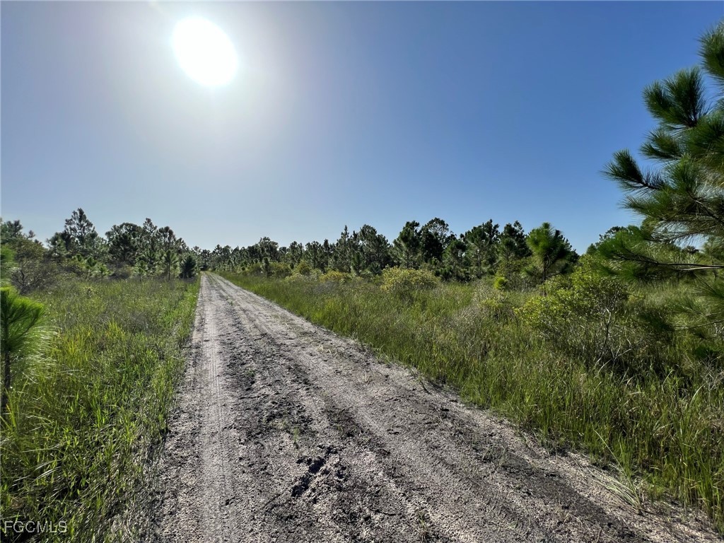 49673 Bermont Road Punta Gorda, FL 33982 - Photo 3 of 28 Gallery Image 3