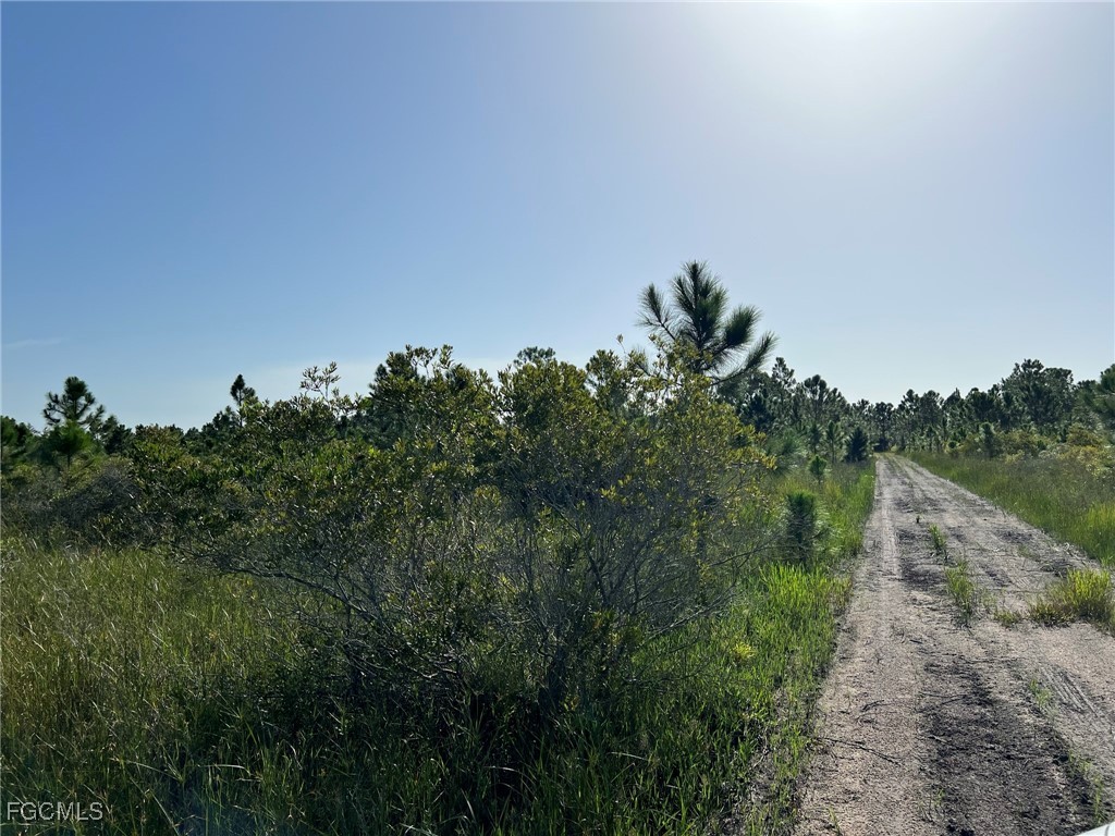 49673 Bermont Road Punta Gorda, FL 33982 - Photo 4 of 28 Gallery Image 4