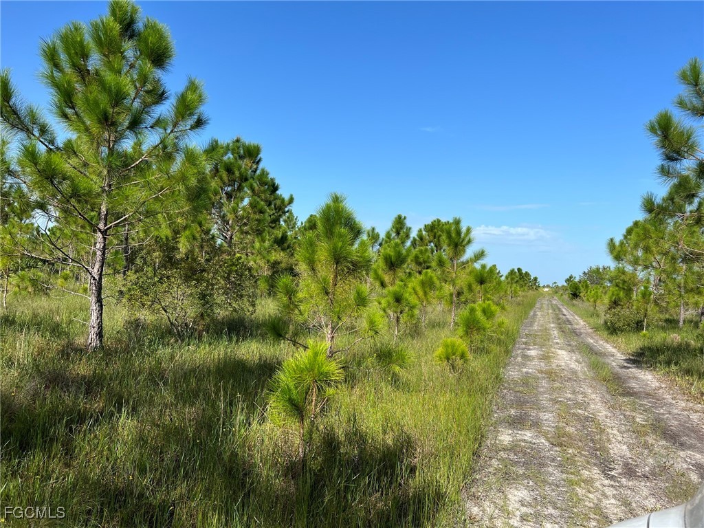 49673 Bermont Road Punta Gorda, FL 33982 - Photo 5 of 28 Gallery Image 5