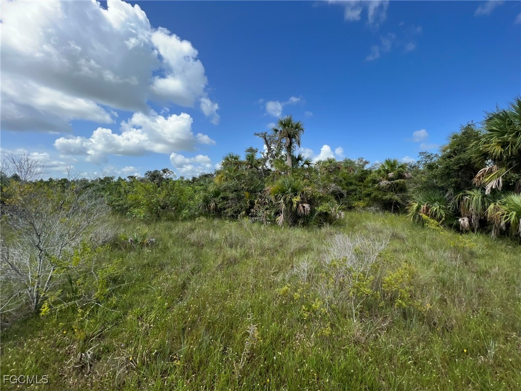 49673 Bermont Road Punta Gorda, FL 33982 - Photo 7 of 28 Gallery Image 7