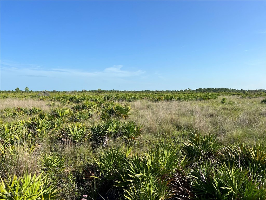49673 Bermont Road Punta Gorda, FL 33982 - Photo 8 of 28 Gallery Image 8