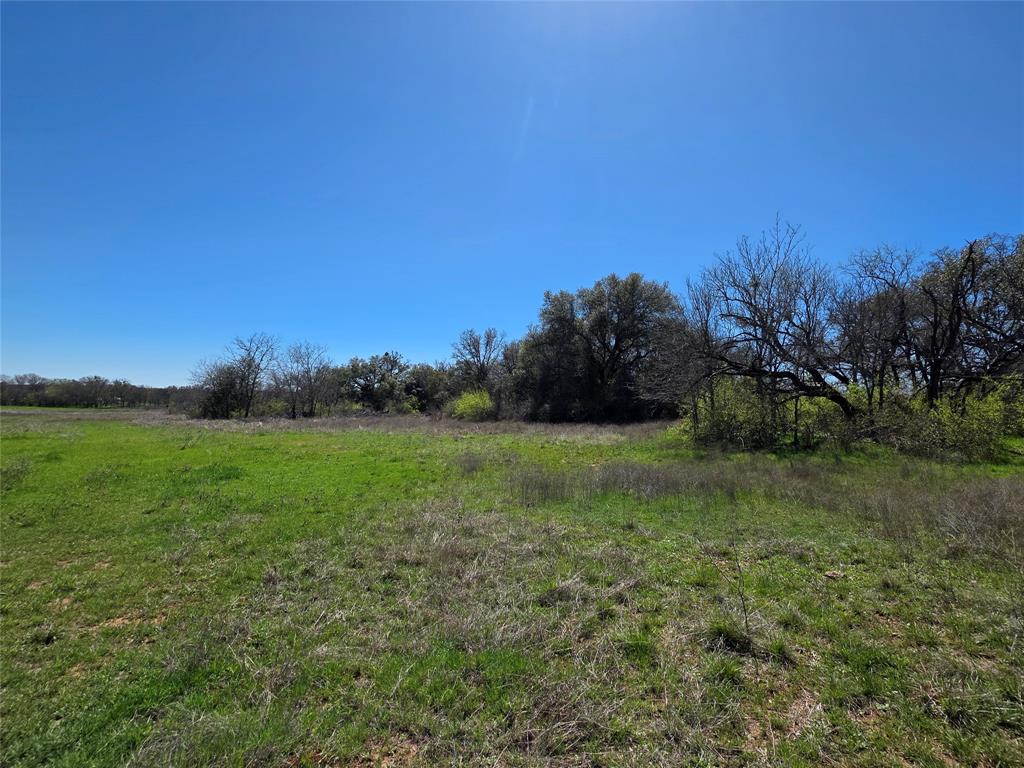309 Highway 36 Gustine, TX 76455 - Photo 12 of 36 a view of a field of grass and trees