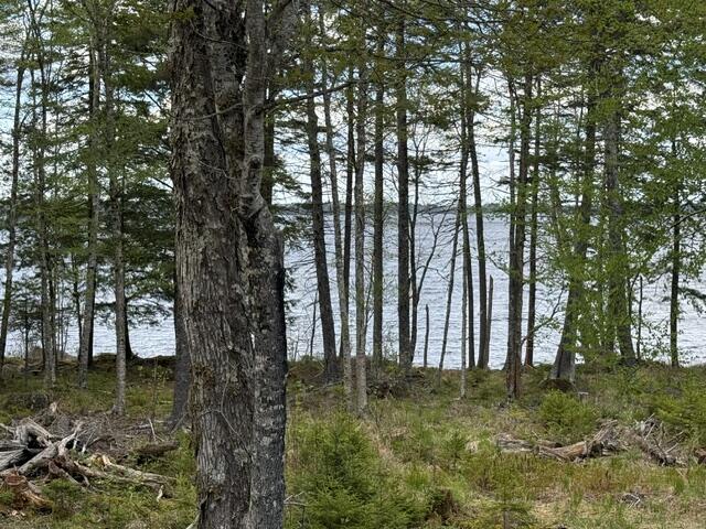 Lot12-part Indian Trail Road East Machias, ME 04630 - Photo 17 of 34 IMG_9911