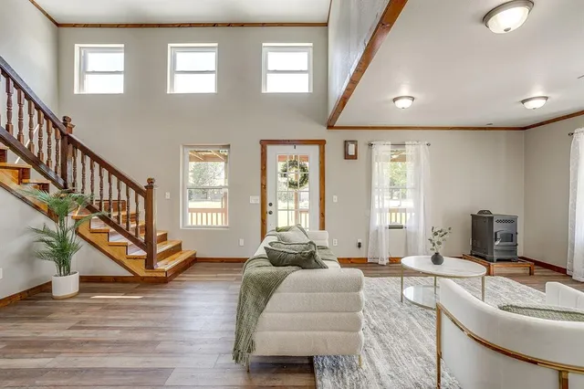 a living room with furniture or couch and a potted plant