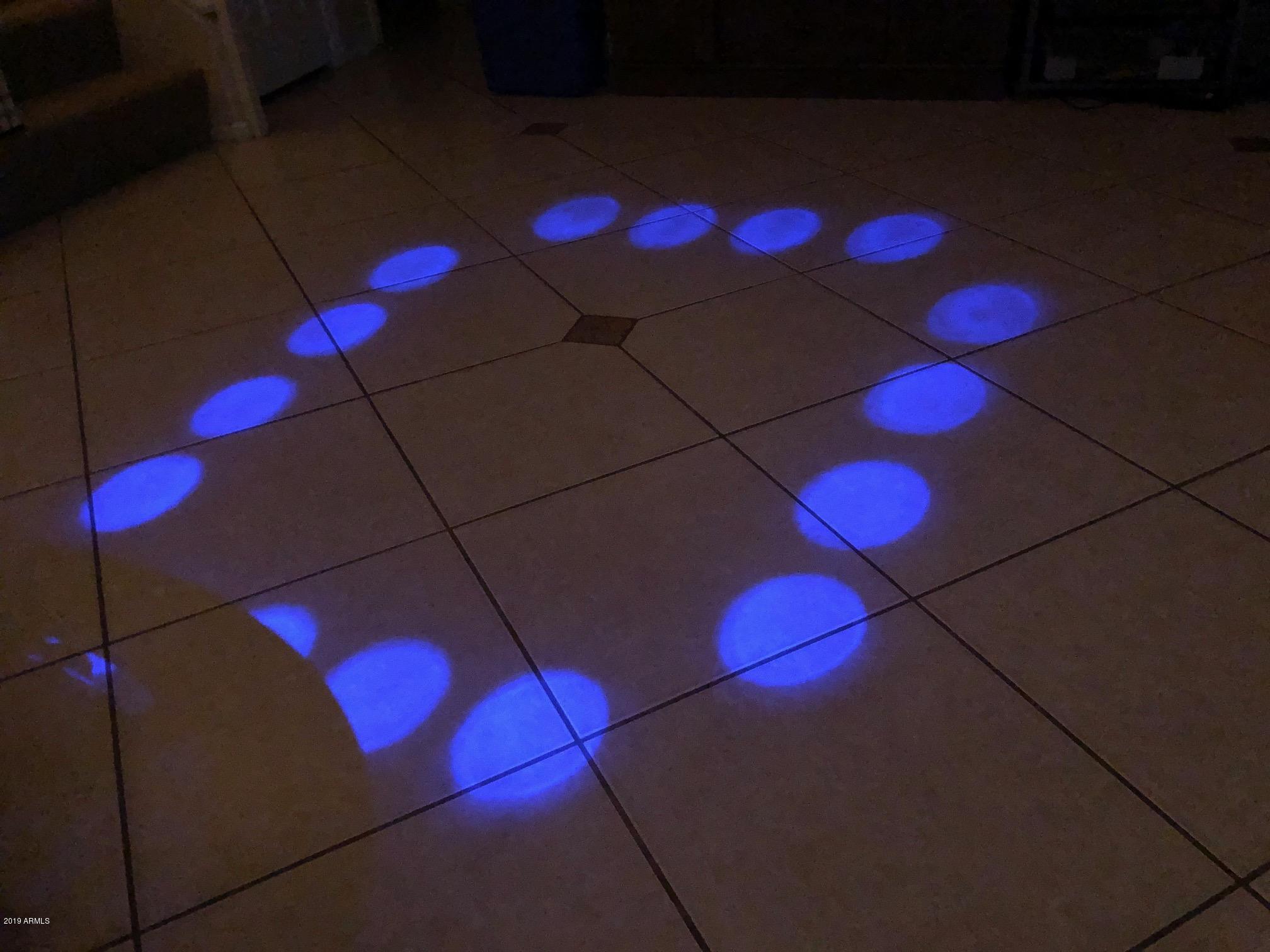 3042 East Escuda Road Phoenix, AZ 85050 - Photo 54 of 58 Disco lights2