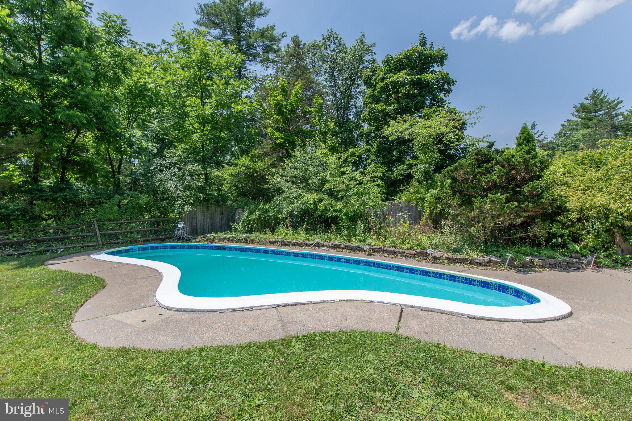 1350 Old Plains Road Pennsburg, PA 18073 - Photo 5 of 72 Serene backyard with pool.