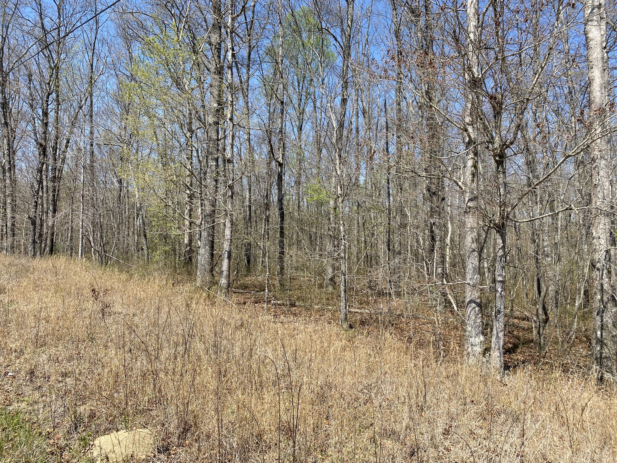 0 Adams Road Tracy City, TN 37387 - Photo 1 of 11 Gallery Image 1