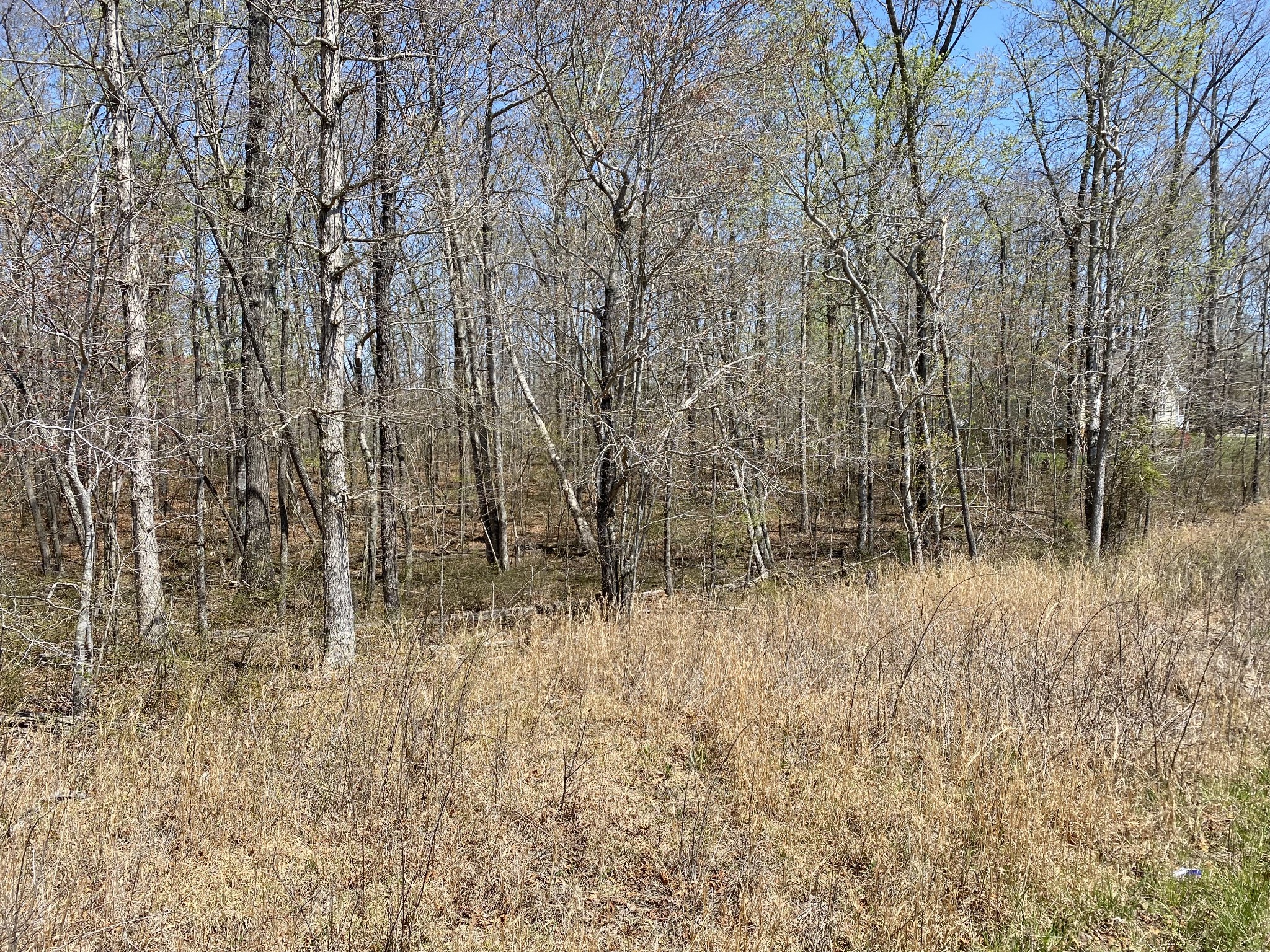 0 Adams Road Tracy City, TN 37387 - Photo 4 of 11 Gallery Image 4