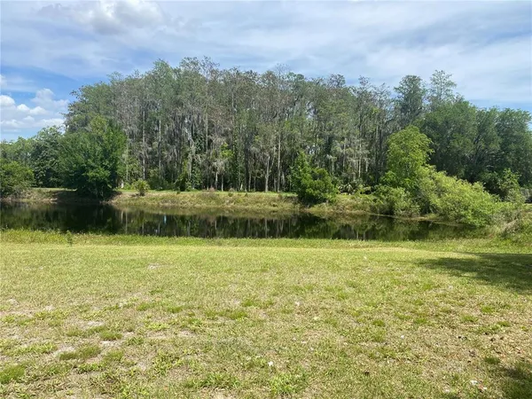 a view of a field with an trees in the background