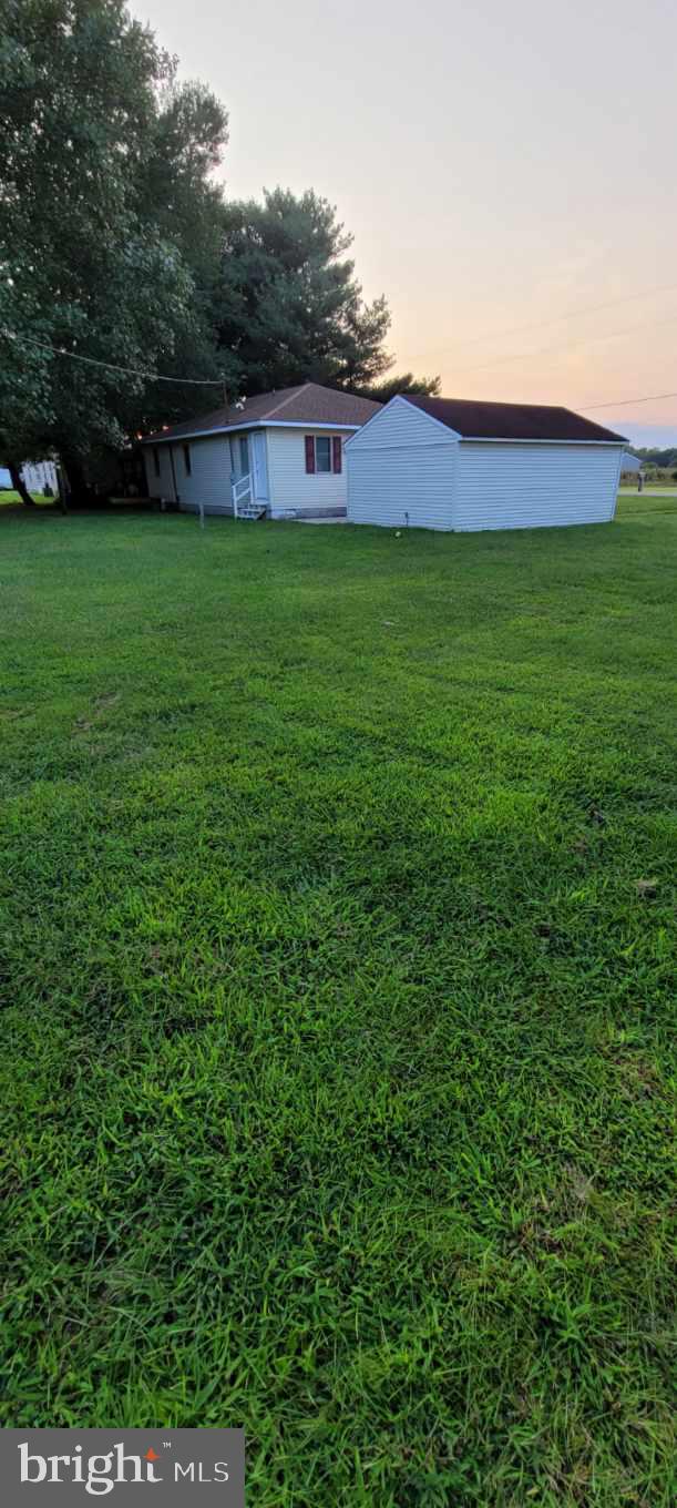 Back yard