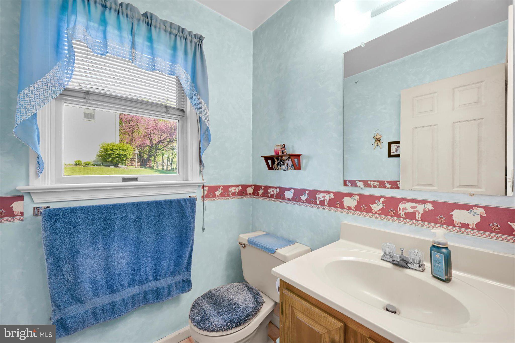30 Edgewood Drive Lititz, PA 17543 - Photo 30 of 47 a bathroom with a sink a toilet and a window