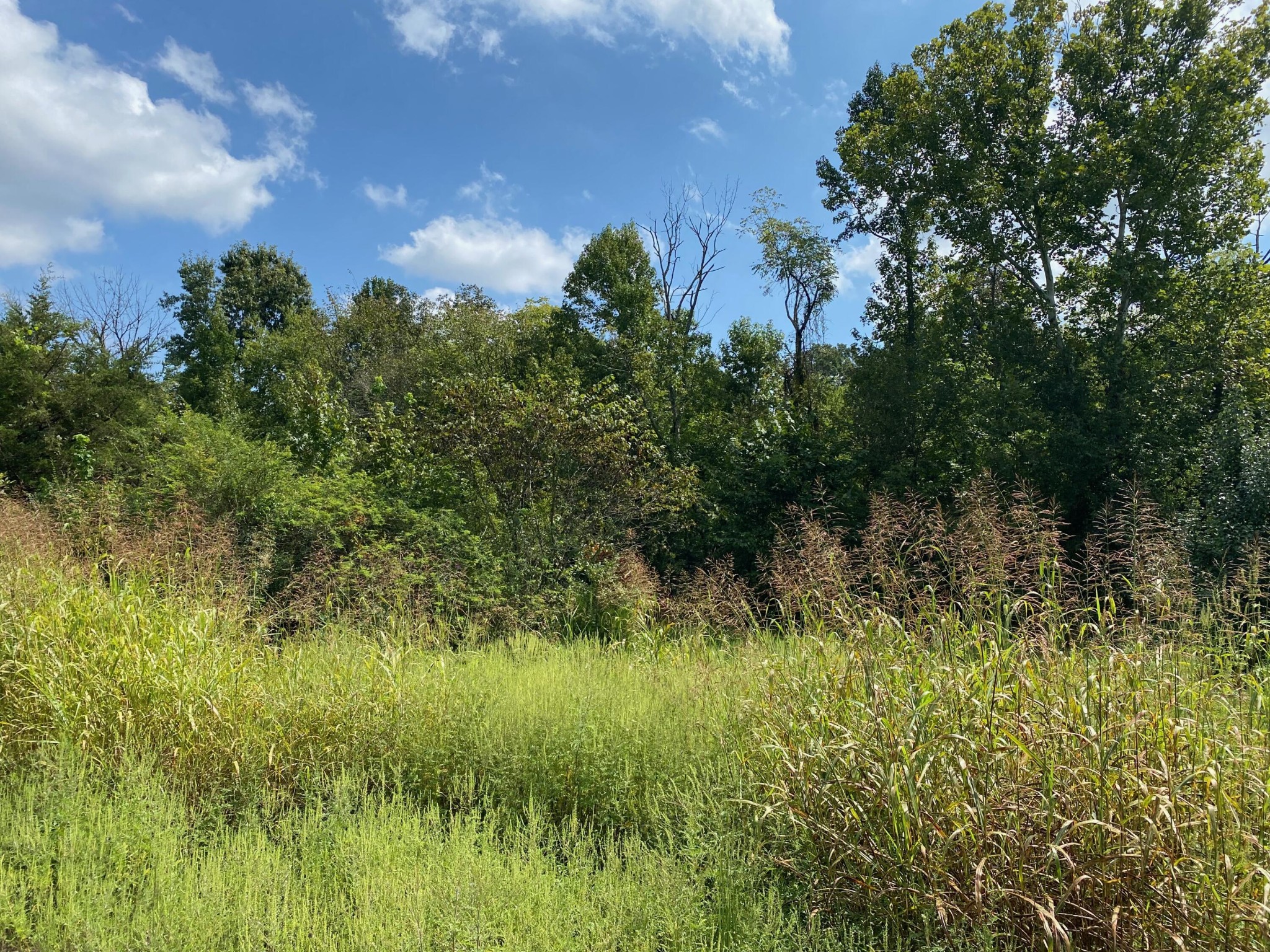 1009 Baker Bridge Road Northeast Charleston, TN 37310 - Photo 6 of 9 Gallery Image 6