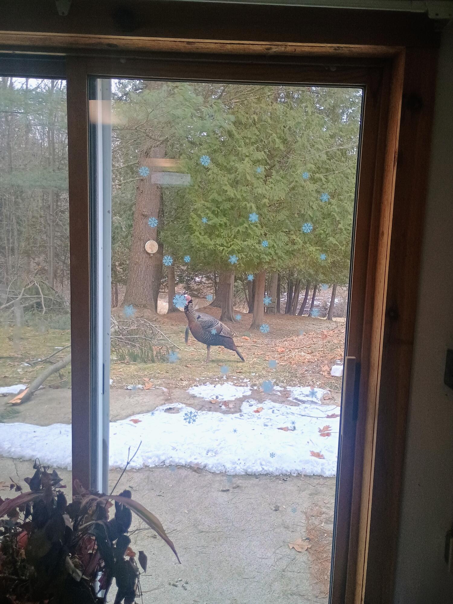 167 Mill Street Blanchard, MI 49310 - Photo 12 of 23 1000013868