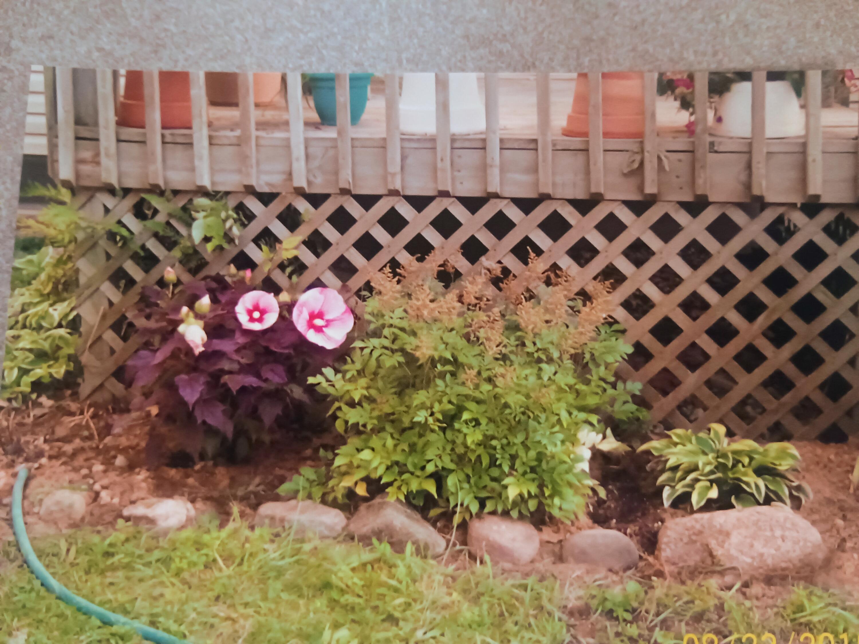 167 Mill Street Blanchard, MI 49310 - Photo 14 of 23 1000013964