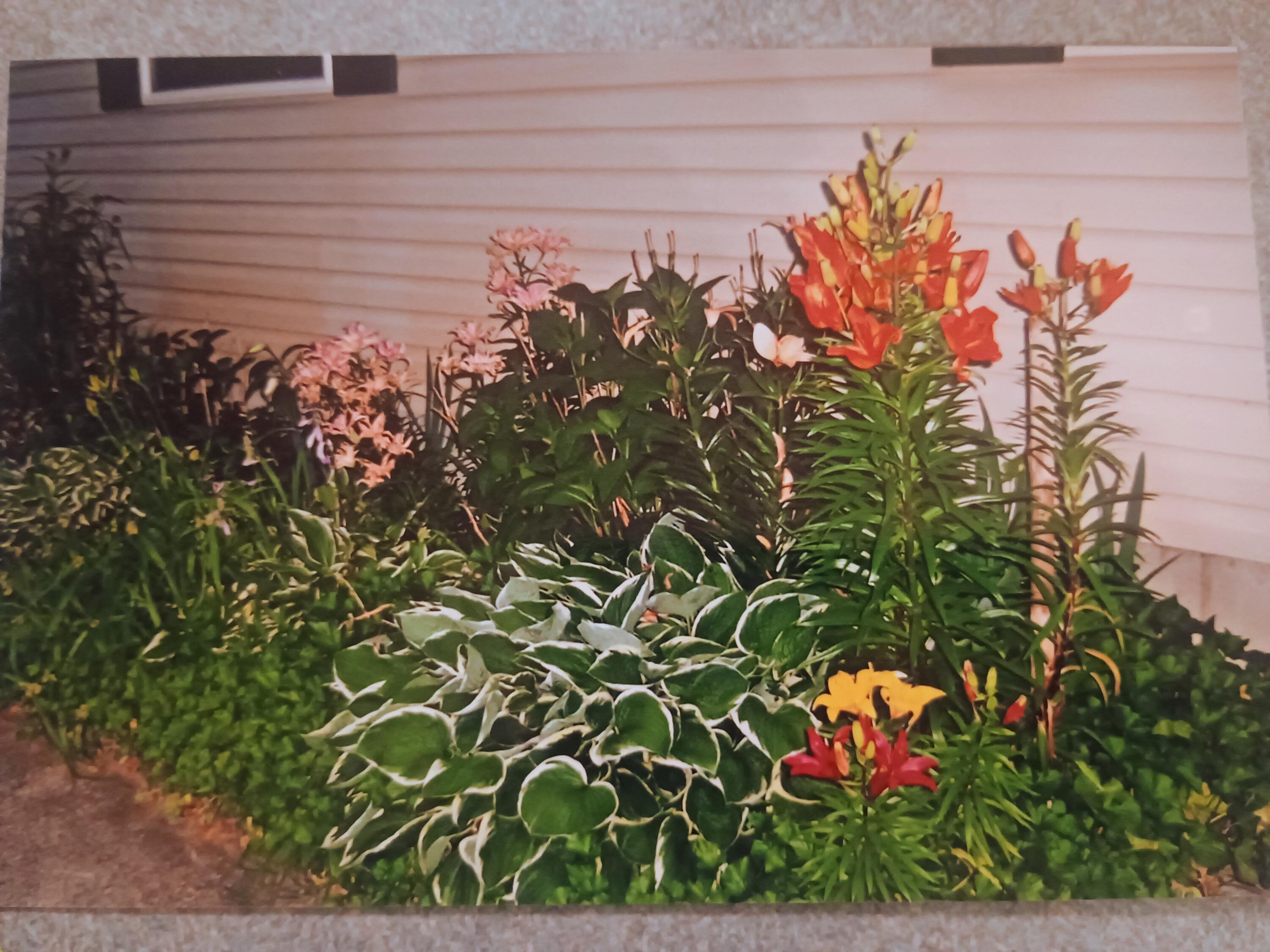 167 Mill Street Blanchard, MI 49310 - Photo 15 of 23 1000013961