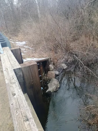 $299,000 | 167 Mill Street, Blanchard, MI 49310