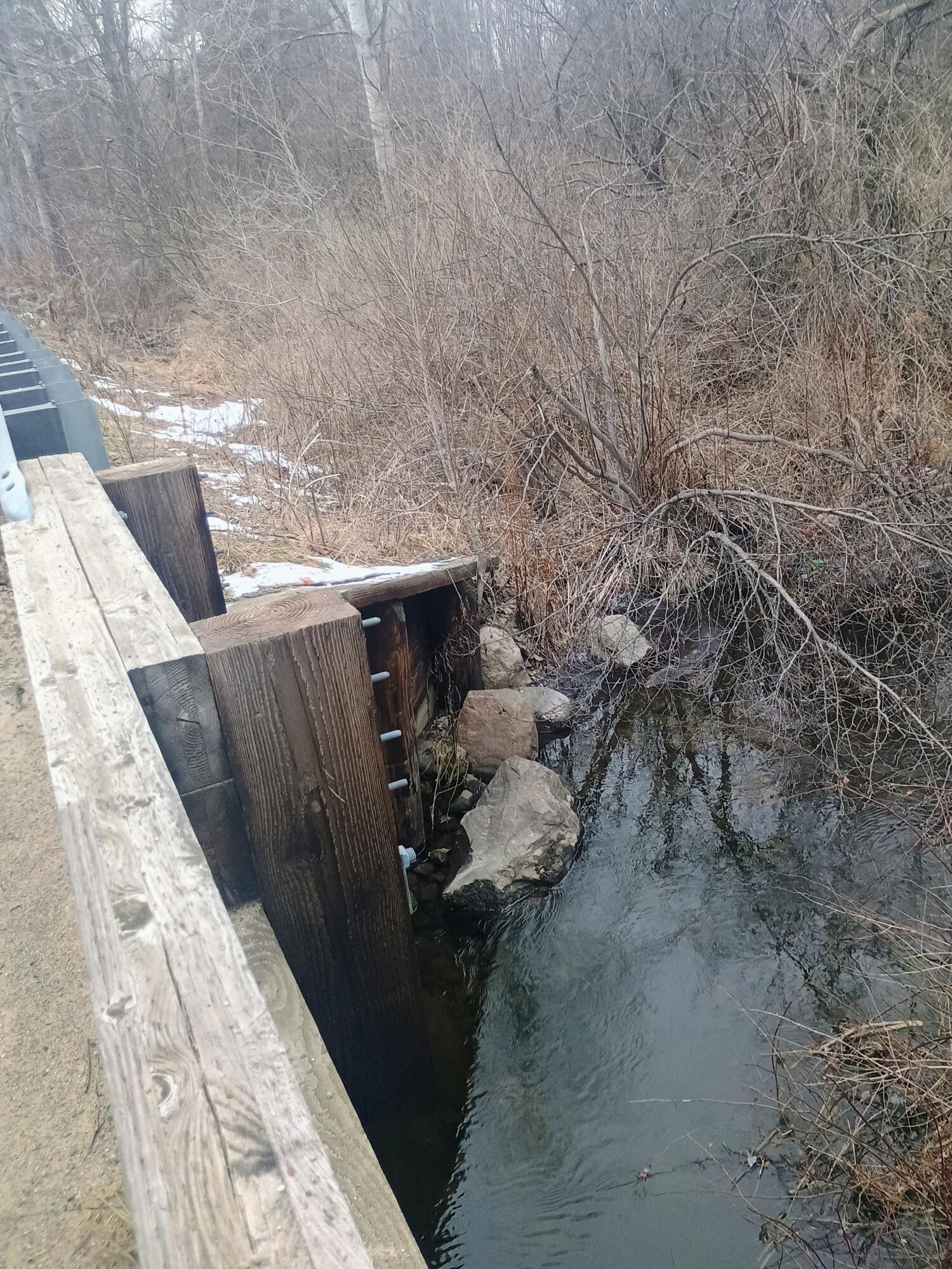 167 Mill Street Blanchard, MI 49310 - Photo 18 of 23 1000013883