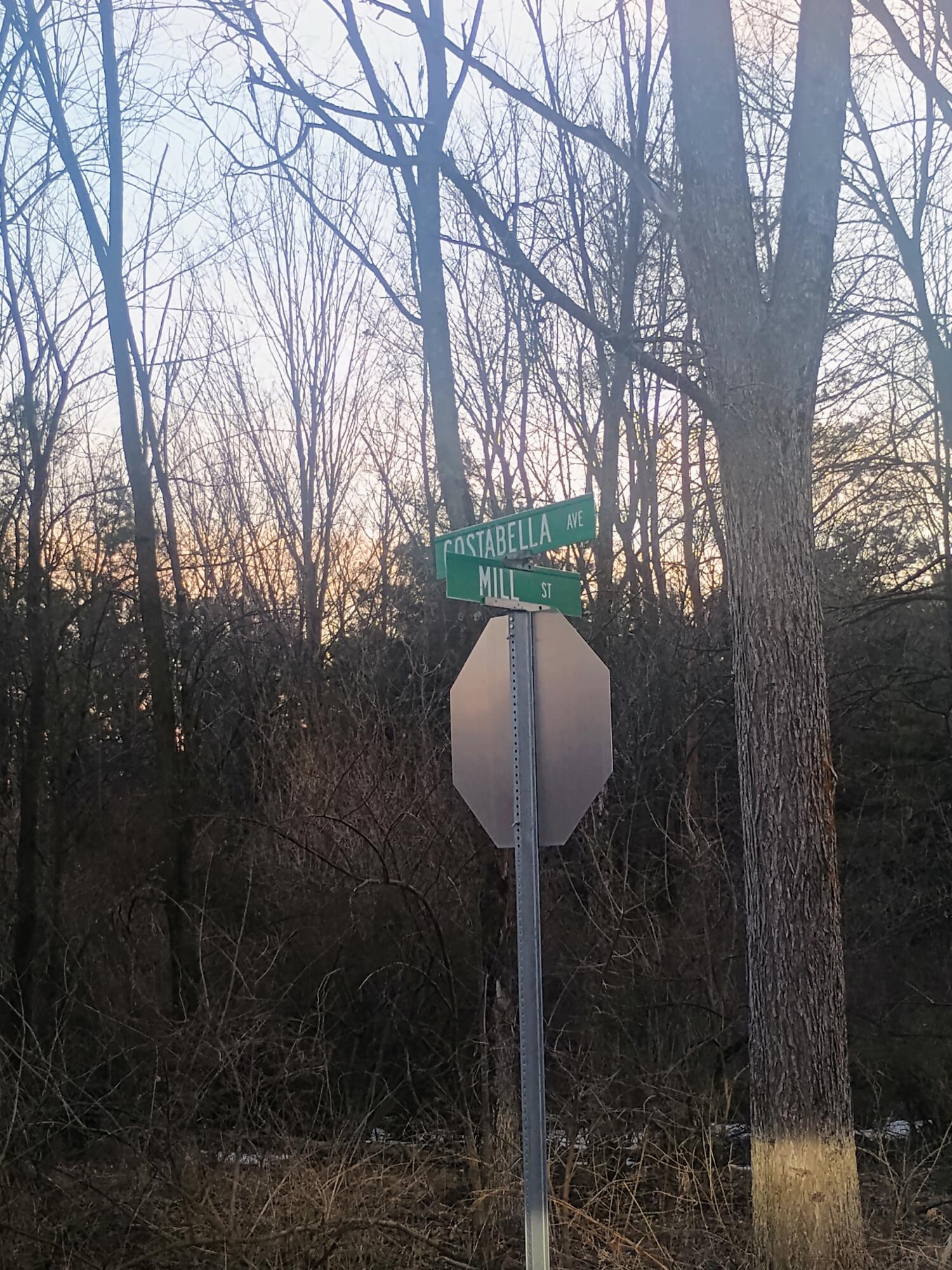 167 Mill Street Blanchard, MI 49310 - Photo 19 of 23 1000013958