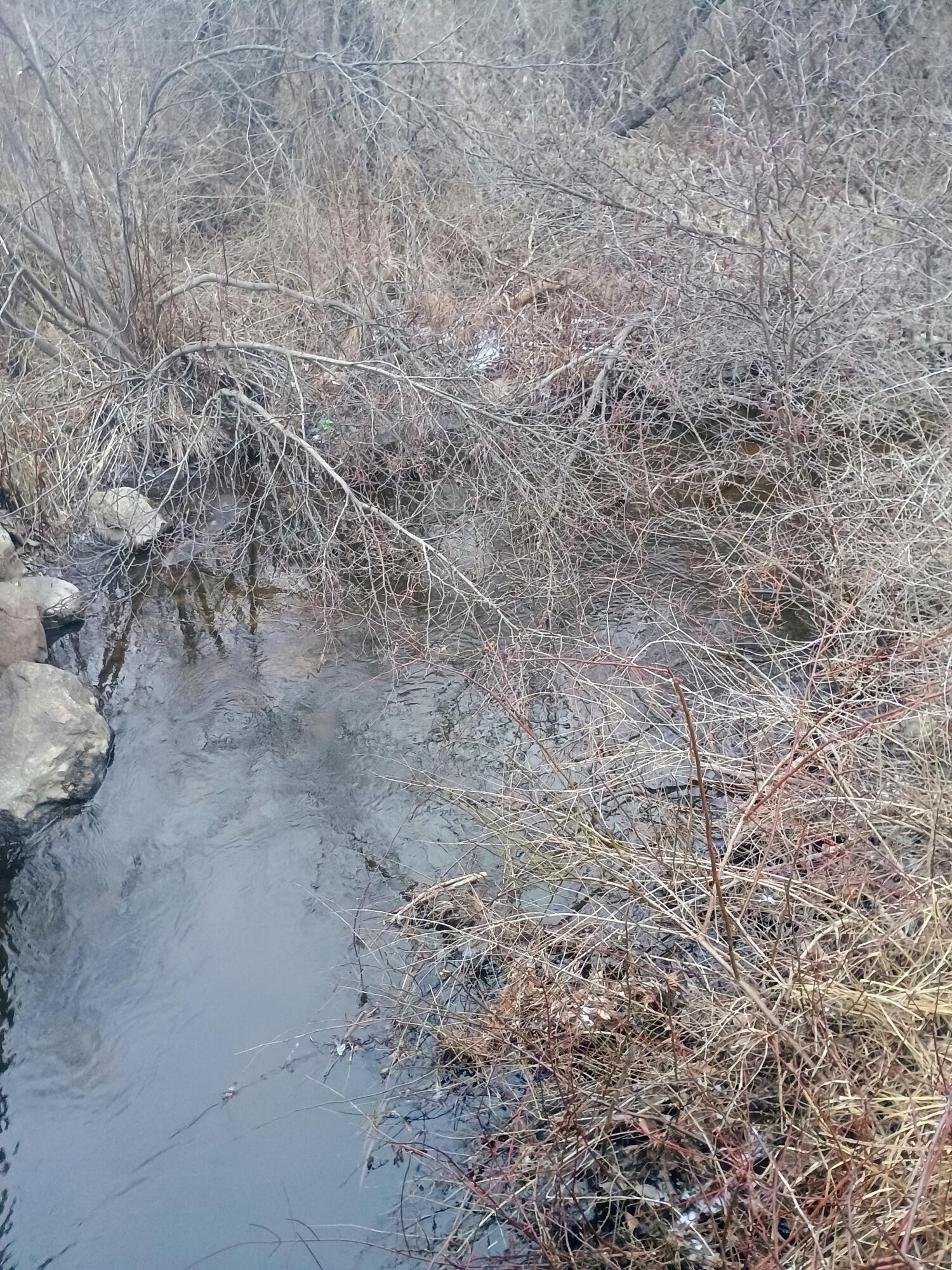 167 Mill Street Blanchard, MI 49310 - Photo 20 of 23 1000013882