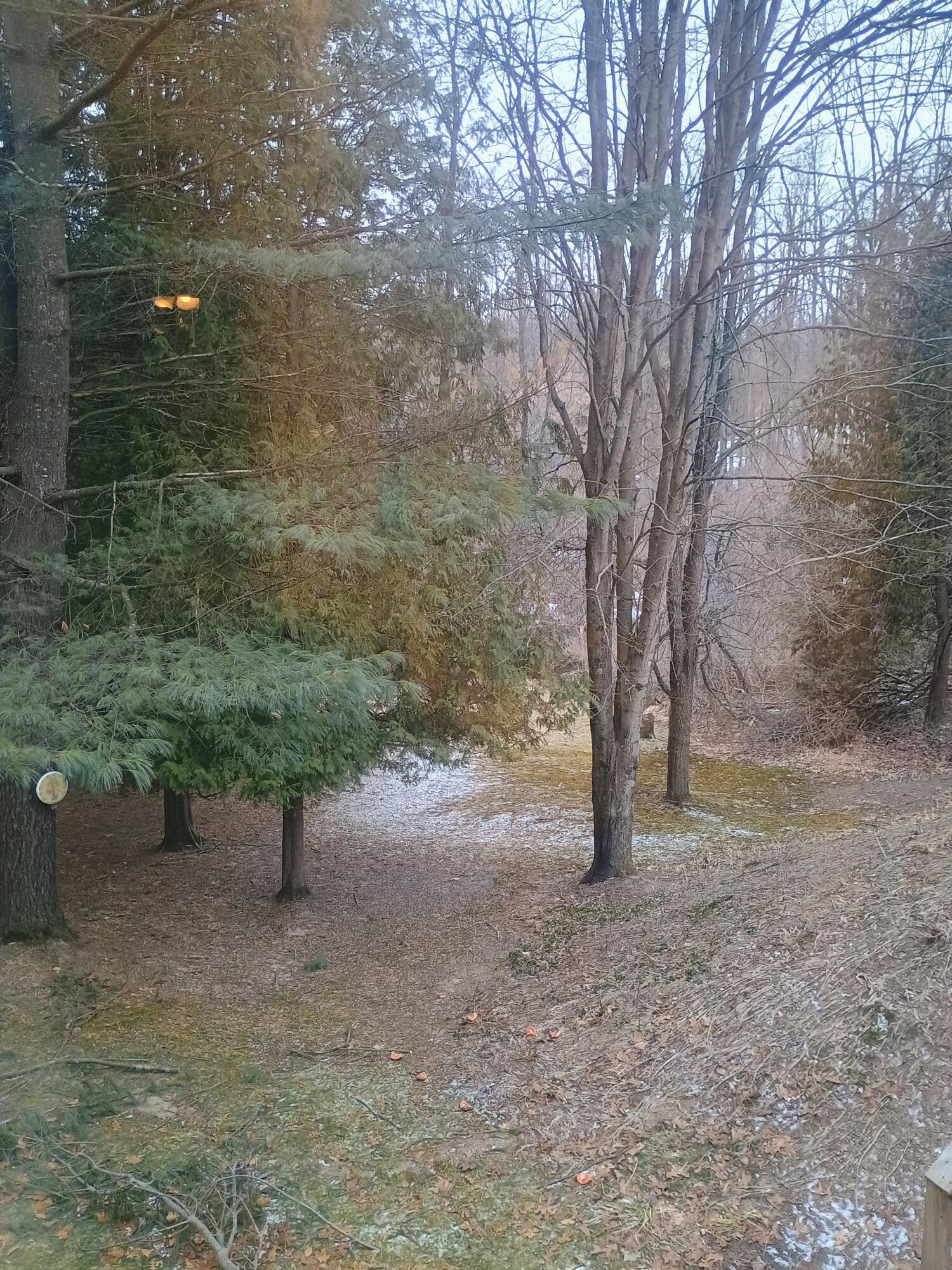 167 Mill Street Blanchard, MI 49310 - Photo 21 of 23 1000013848