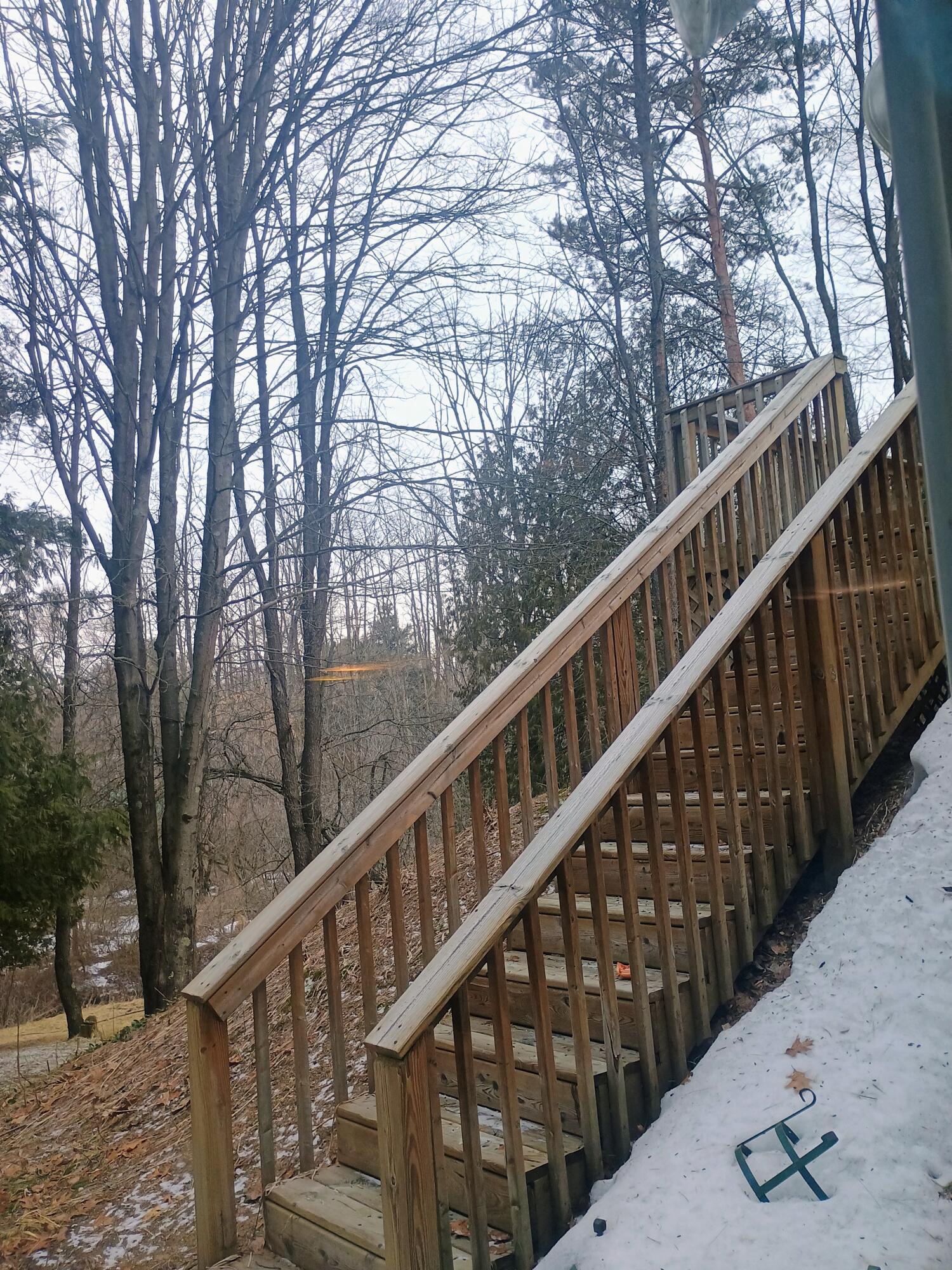 167 Mill Street Blanchard, MI 49310 - Photo 4 of 23 1000013874