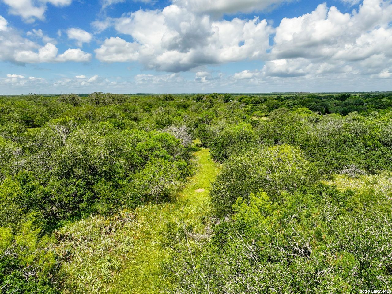 237 County Road 393 Runge, TX 78151 - Photo 16 of 19