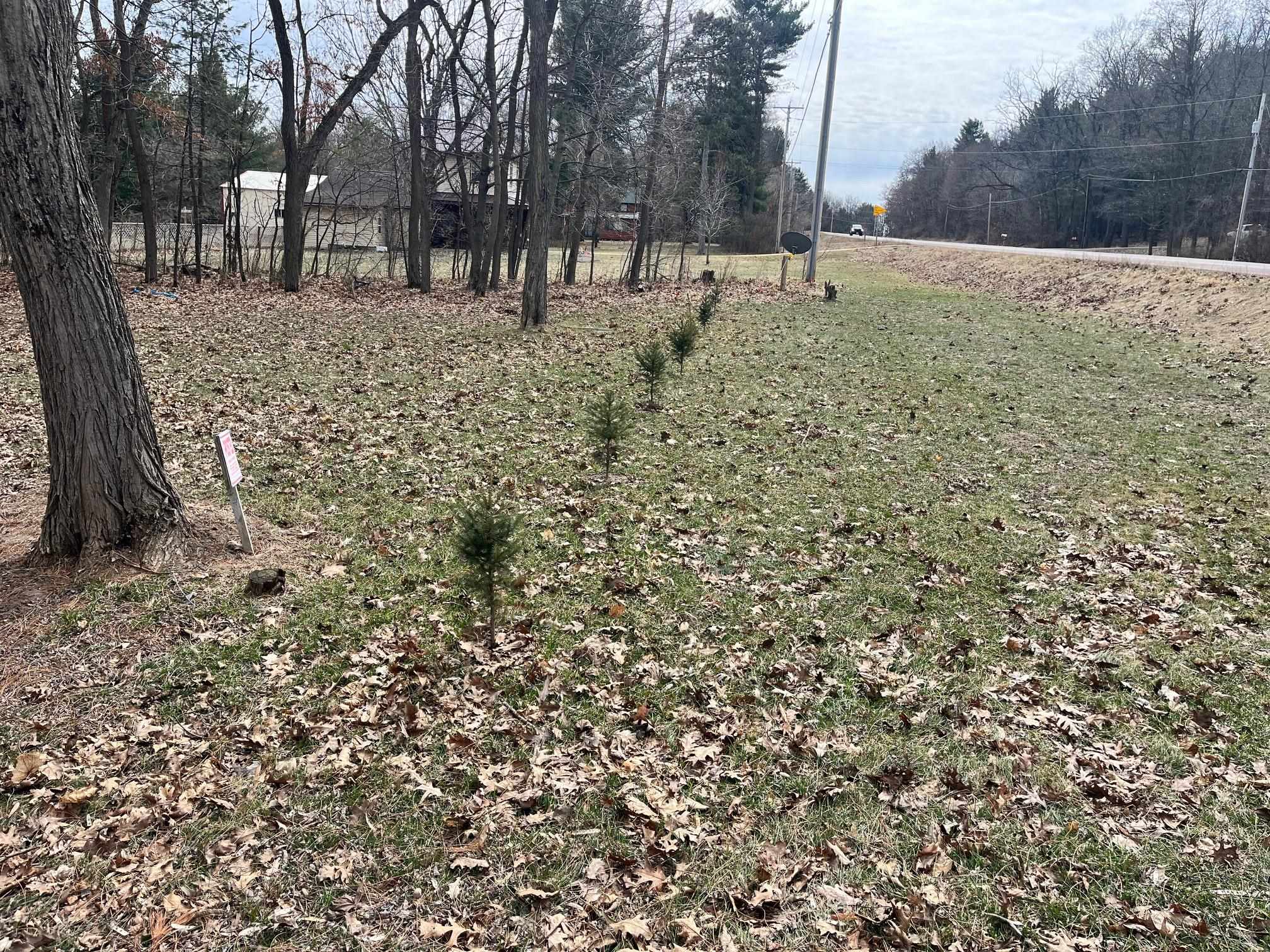 1888 State Highway 13 Friendship, WI 53934 - Photo 10 of 17