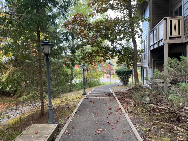 a street view with large trees