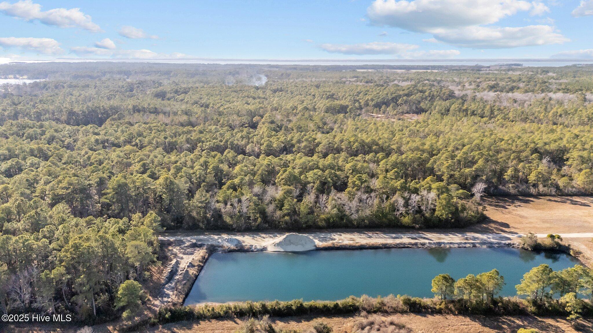 220 Kings Way Gloucester, NC 28528 - Photo 7 of 16 7-web-or-mls-DJI_20250214151636_0362_D