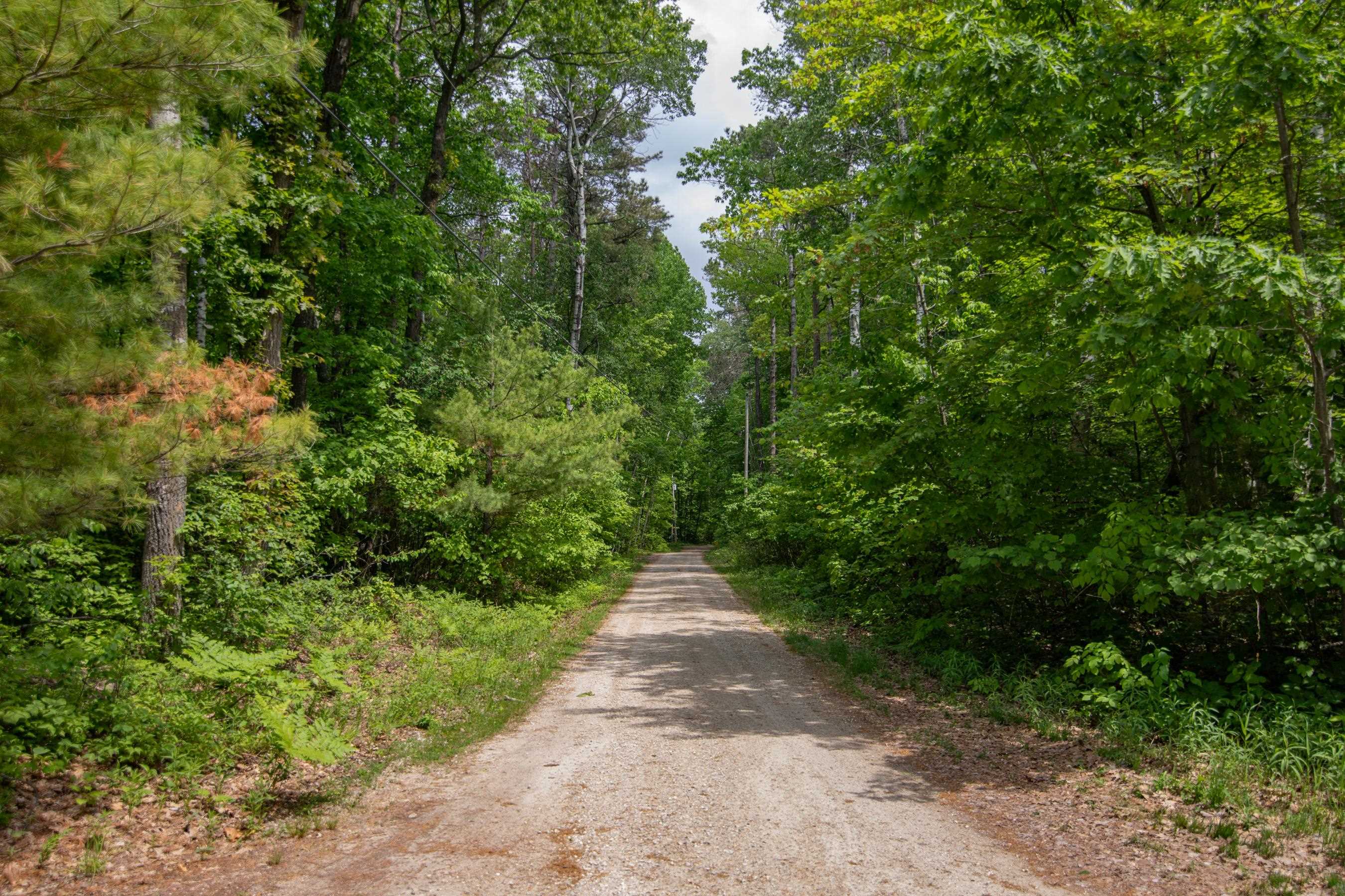 Pine Tree Road Sturgeon Bay, WI 54235 - Photo 5 of 8