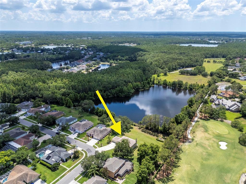 18511 Bittern Avenue Lutz, FL 33558 - Photo 58 of 63
