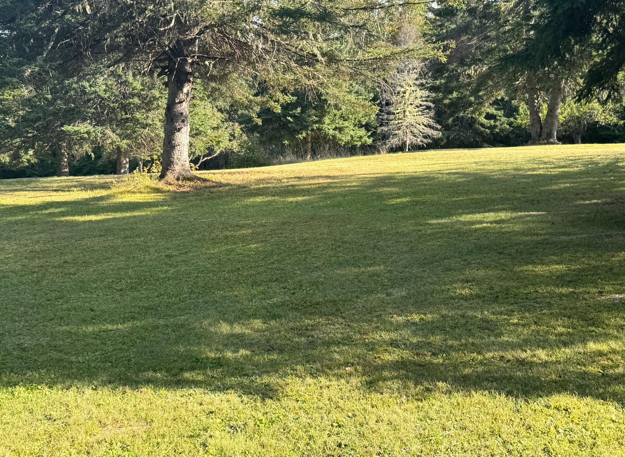 2661 Aroostook Road Eagle Lake, ME 04739 - Photo 24 of 35 Untitled1