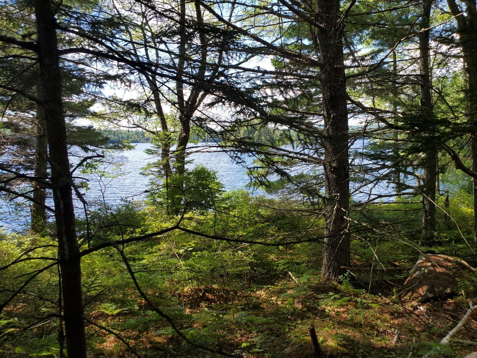 L8 Birch Point Road Cooper, ME 04657 - Photo 5 of 7 20200729_130339