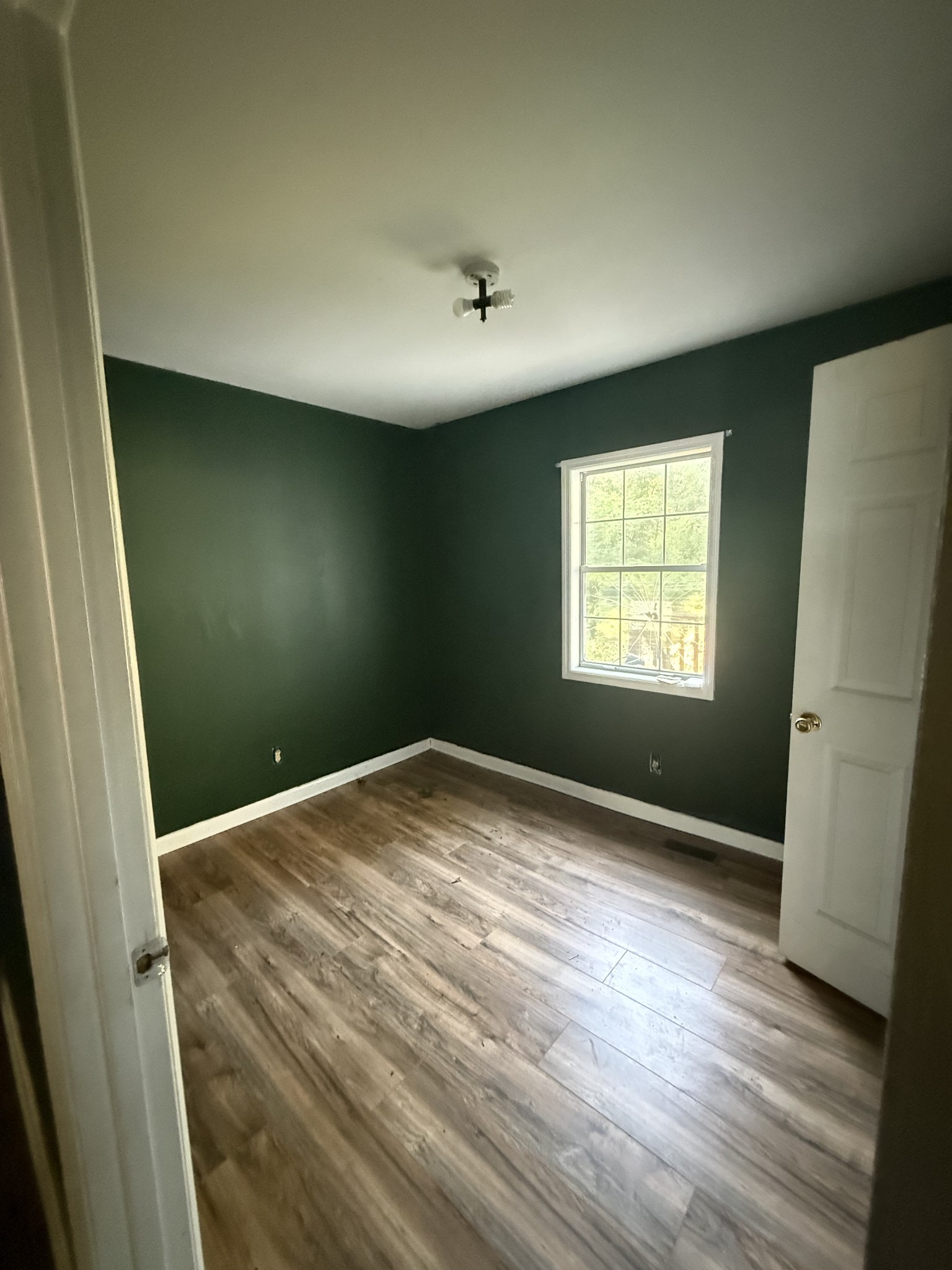 Gallery Image 7