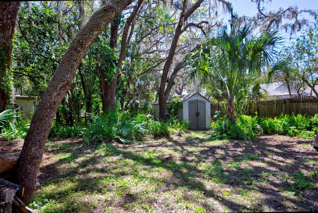 9025 Yogi Place New Port Richey, FL 34654 - Photo 8 of 43