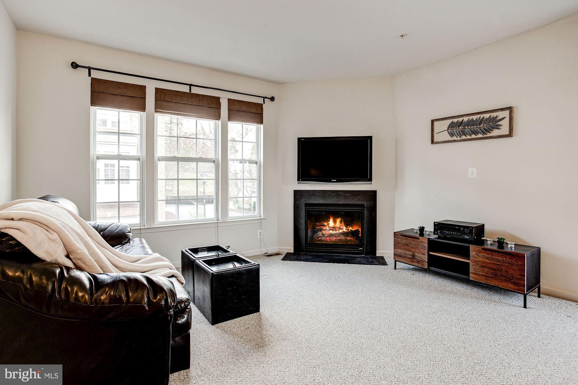 7115 Silverleaf Oak Road, Unit 224 Elkridge, MD 21075 - Photo 4 of 35 Living Room