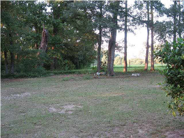 204 Blackjack Road Collins, MS 39428 - Photo 8 of 12 Photo 8