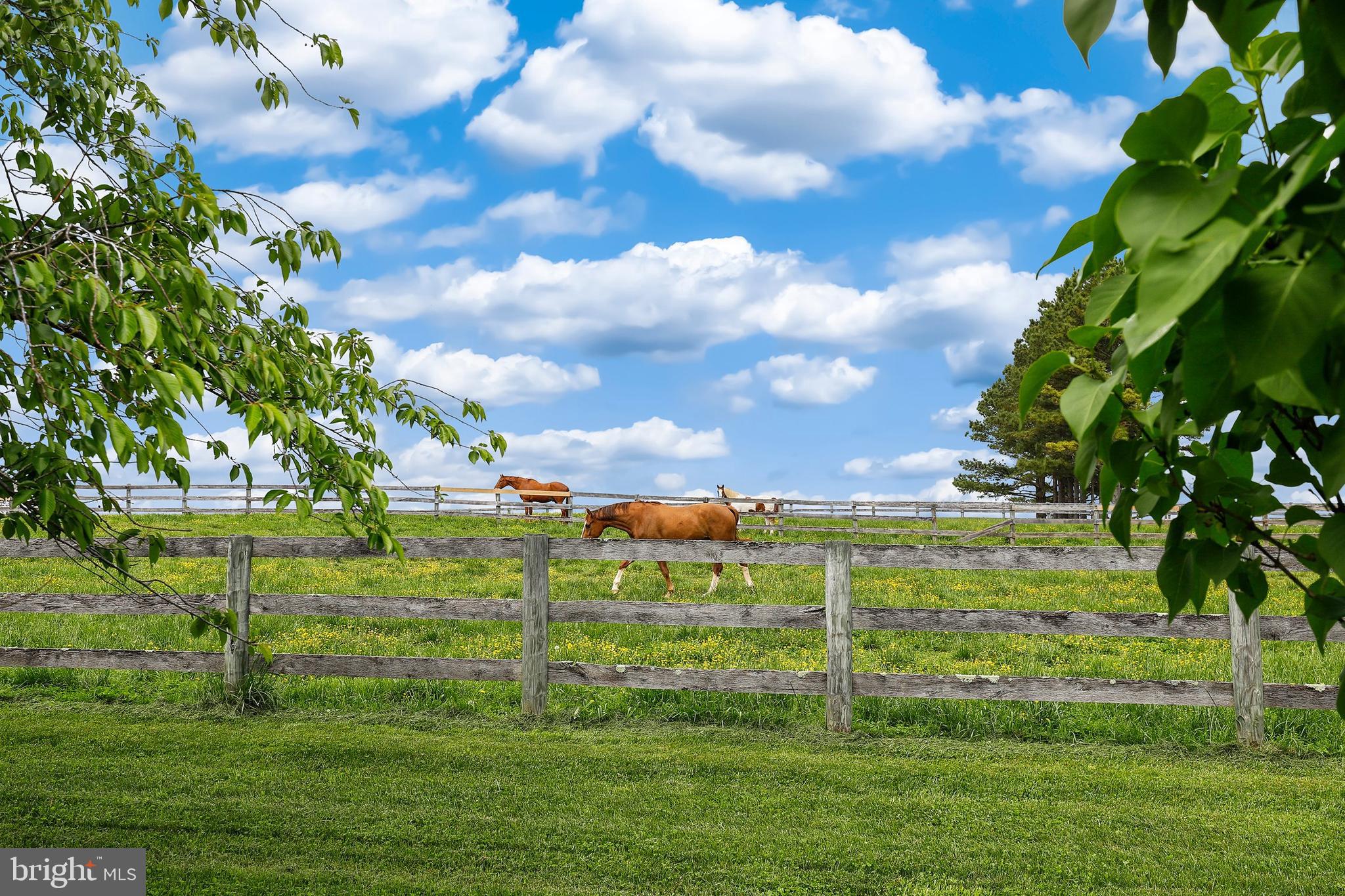7938 Fingerboard Road Frederick, MD 21704 - Photo 54 of 56 More beautiful views!