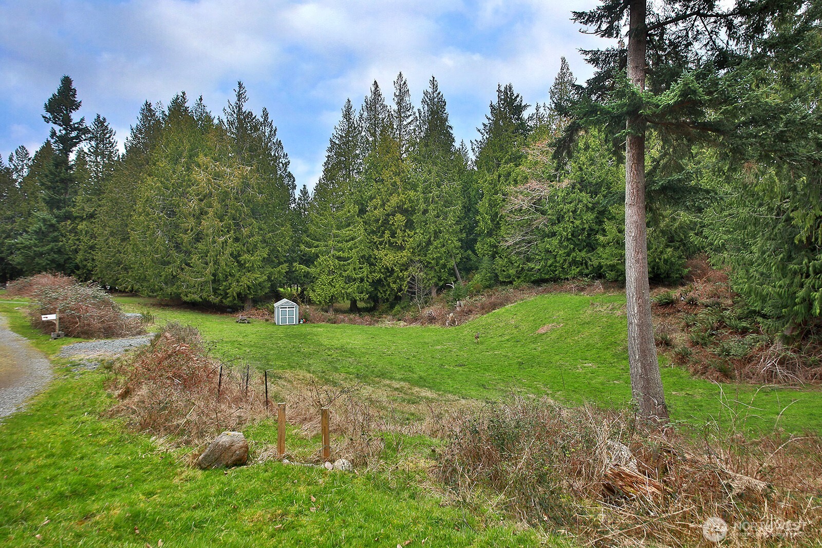 4985 Wilkinson Road Langley, WA 98260 - Photo 7 of 14 a view of a park with large trees
