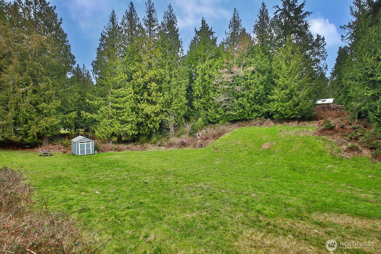 4985 Wilkinson Road Langley, WA 98260 - Photo 7 of 14 a view of a tree with a yard