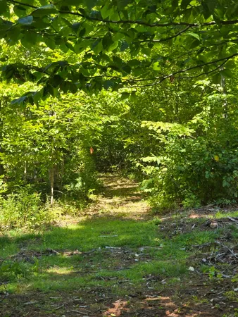 $288,800 | 331 Beans Corner Road, New Sharon, ME 04955