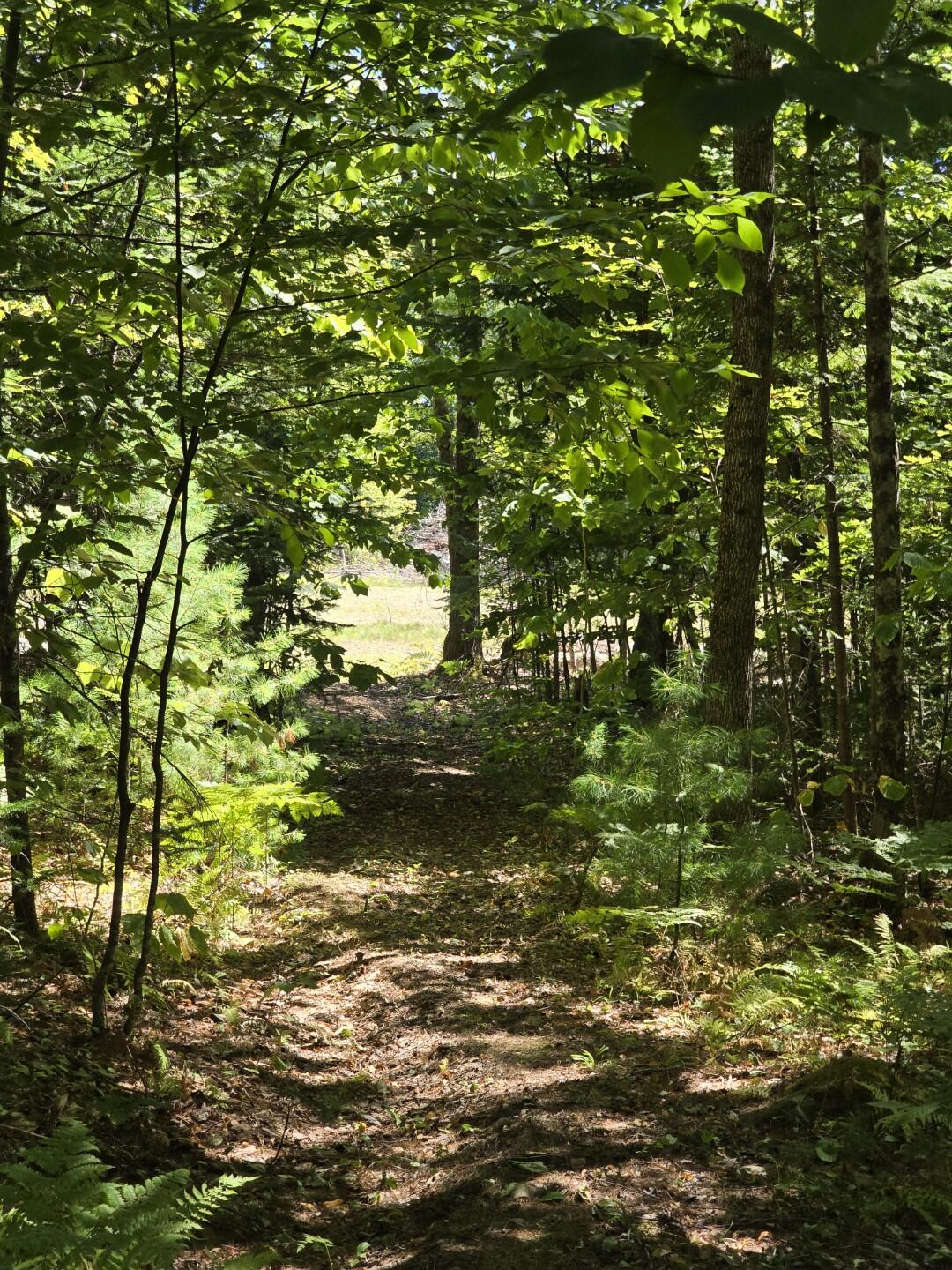 331 Beans Corner Road New Sharon, ME 04955 - Photo 39 of 46 Resized_20250821_122536