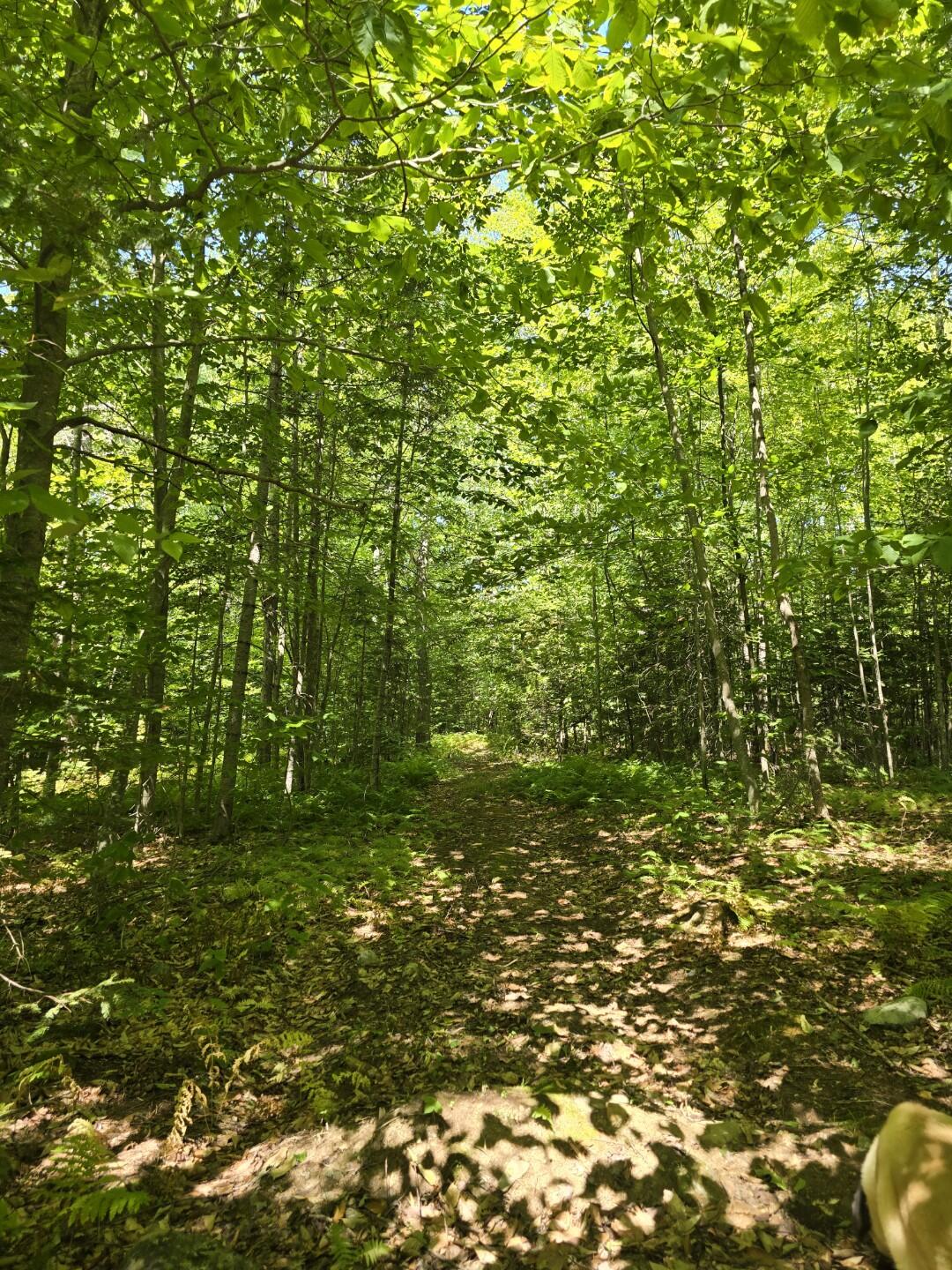 331 Beans Corner Road New Sharon, ME 04955 - Photo 40 of 46 Resized_20250821_122442