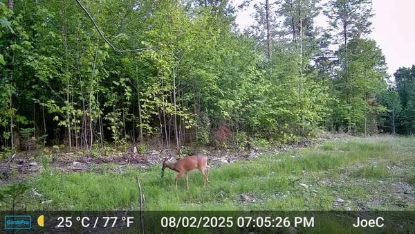 $288,800 | 331 Beans Corner Road, New Sharon, ME 04955