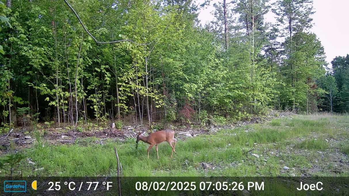 331 Beans Corner Road New Sharon, ME 04955 - Photo 42 of 46 Resized_D097258CC772_20250802190526_3209