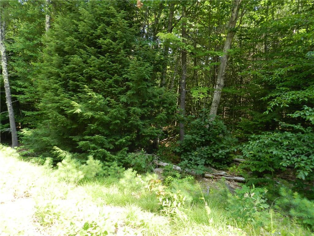 16 Harrison Road Naples, ME 04055 - Photo 3 of 34 Photo